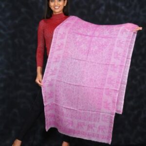 Jaquard Woven Pure Pashmina Stall