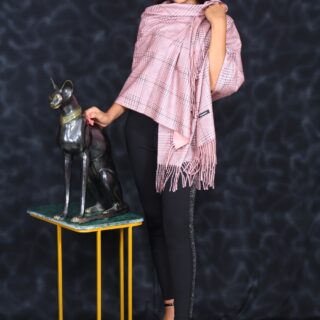 Cashmere Reversible Soft Print Stall