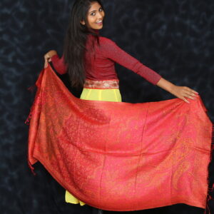 Kashmiri Silk and Pashmina Jamawaar Hand woven Stall